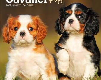 Cavalier King Charles Spaniel Puppies | 2027 7 x 14 Inch (Hanging) Monthly Mini Wall Calendar | BrownTrout | Animals Dog Breeds Puppy