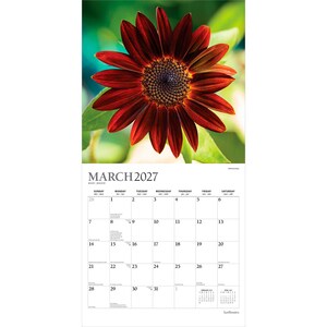 May include: A wall calendar for March 2027 featuring a large, deep red sunflower with a dark center at the top. The grid below displays the days of the month, with small calendars for February and April 2027 in the bottom right corner.