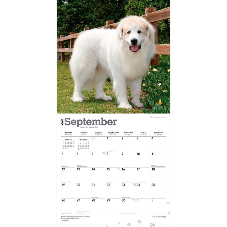 May include: A 2027 wall calendar page for September featuring a large, fluffy white Great Pyrenees dog with tan markings on its head, standing outdoors. The calendar grid displays the month, dates, and small paw print icons at the bottom.