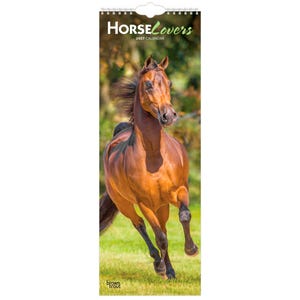 Amantes de los caballos / Calendario de pared mensual delgado de 5,7 x 16,5 pulgadas (para colgar) 2027 / BrownTrout / Animales ecuestres
