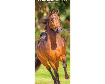 Amantes de los caballos / Calendario de pared mensual delgado de 5,7 x 16,5 pulgadas (para colgar) 2027 / BrownTrout / Animales ecuestres