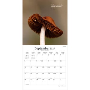 Pode incluir: Um calend&aacute;rio de parede para setembro de 2027 com um cogumelo castanho com lamelas vis&iacute;veis na metade superior. O texto diz Stillness reveals the secrets of eternity, September 2027 e Magic Mushrooms. A grelha mostra os dias.