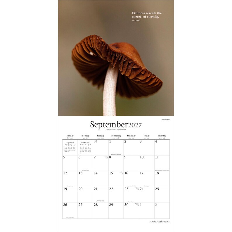 Pode incluir: Um calend&aacute;rio de parede para setembro de 2027 com um cogumelo castanho com lamelas vis&iacute;veis na metade superior. O texto diz Stillness reveals the secrets of eternity, September 2027 e Magic Mushrooms. A grelha mostra os dias.