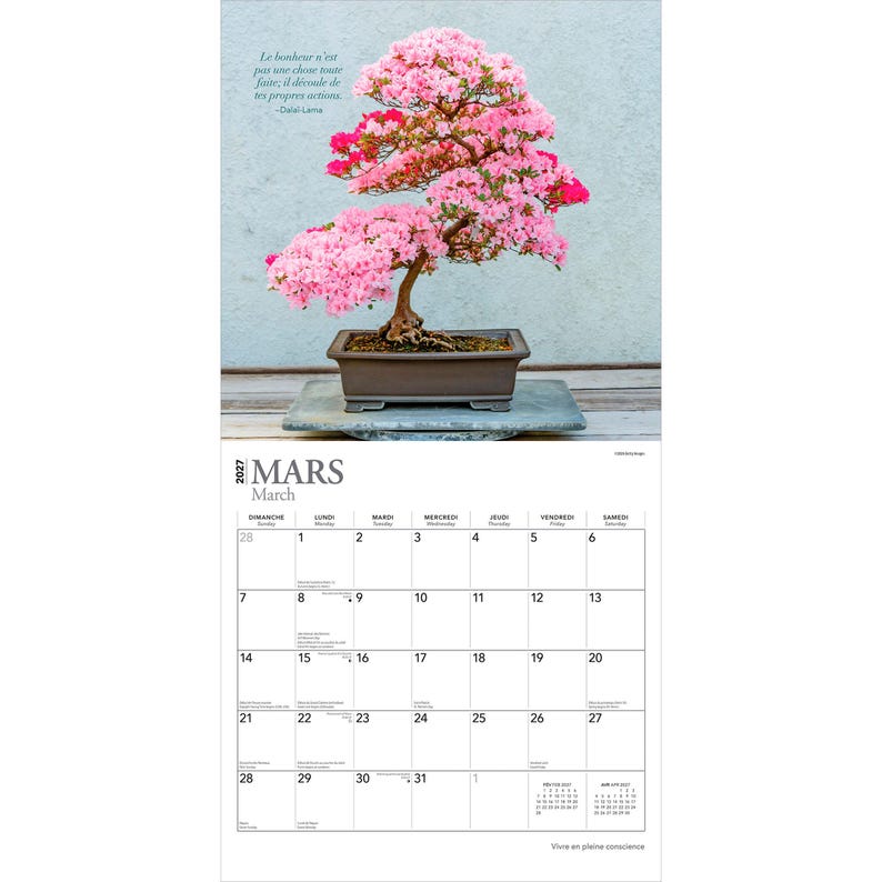 Pode incluir: Um calend&aacute;rio de parede para mar&ccedil;o de 2027 com um bonsai de az&aacute;lea de flores cor-de-rosa num vaso retangular castanho. A sec&ccedil;&atilde;o superior apresenta a &aacute;rvore e uma cita&ccedil;&atilde;o do Dalai Lama, enquanto a sec&ccedil;&atilde;o inferior mostra a grelha do calend&aacute;rio.