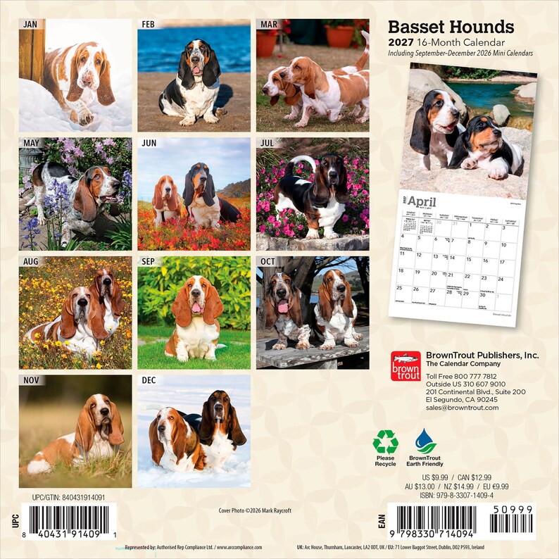 Puede incluir: Un calendario de 16 meses de Basset Hounds para 2027 con doce p&aacute;ginas mensuales que muestran fotograf&iacute;as de perros Basset en diversos entornos al aire libre. La contraportada muestra una vista previa de abril, informaci&oacute;n y c&oacute;digo de barras.