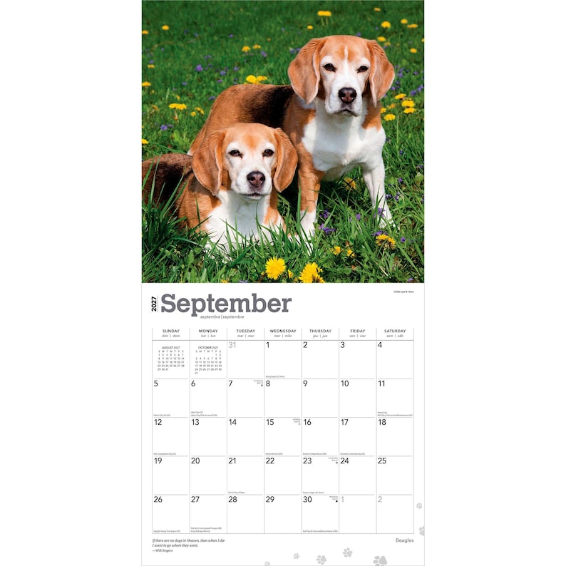 May include: A 2027 wall calendar for September featuring a photograph of two brown and white Beagle dogs sitting in a green grassy field with yellow flowers. The calendar grid displays the month, days of the week, and dates for September 2027.