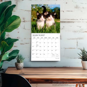 Peut inclure: Un calendrier mural pour mars 2027 pr&eacute;sentant une photographie de deux chatons noirs et blancs dans l'herbe verte. La grille du calendrier affiche les jours du mois avec le texte MARCH 2027 en haut. Le design inclut un fond blanc.