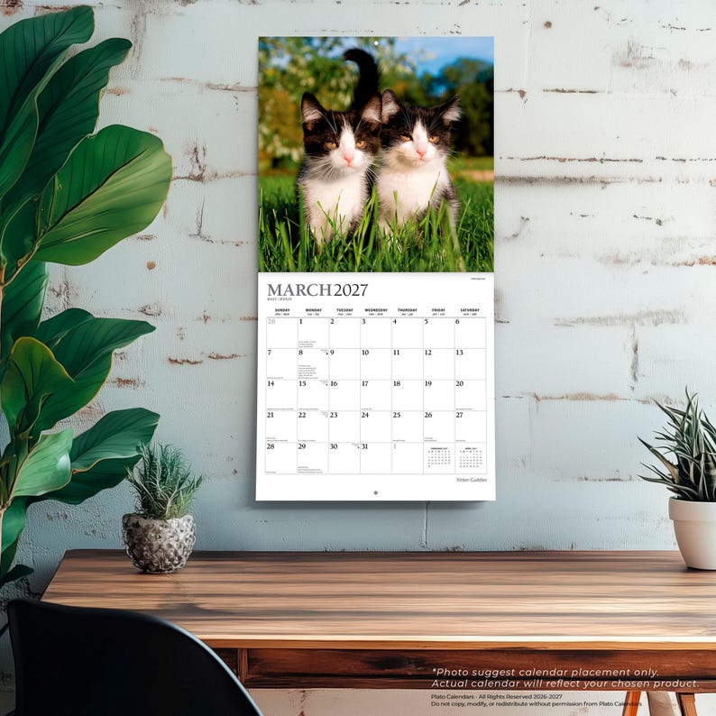 Peut inclure: Un calendrier mural pour mars 2027 pr&eacute;sentant une photographie de deux chatons noirs et blancs dans l'herbe verte. La grille du calendrier affiche les jours du mois avec le texte MARCH 2027 en haut. Le design inclut un fond blanc.