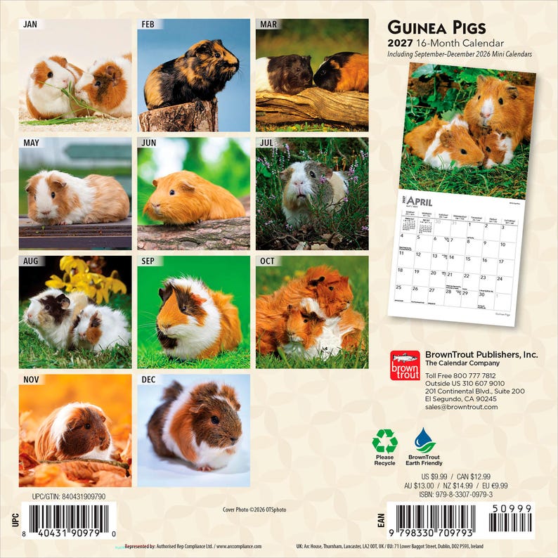 May include: A 2027 16-month Guinea Pigs calendar featuring twelve distinct photographs of guinea pigs in various settings, including a sample April calendar page, BrownTrout Publishers branding, and a barcode on a light patterned background.