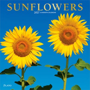 May include: A 2027 16-month calendar titled SUNFLOWERS featuring two large, vibrant yellow sunflowers with dark centers against a solid bright blue sky. The text SUNFLOWERS is printed in gold at the top, with the brand name Plato at the bottom left.