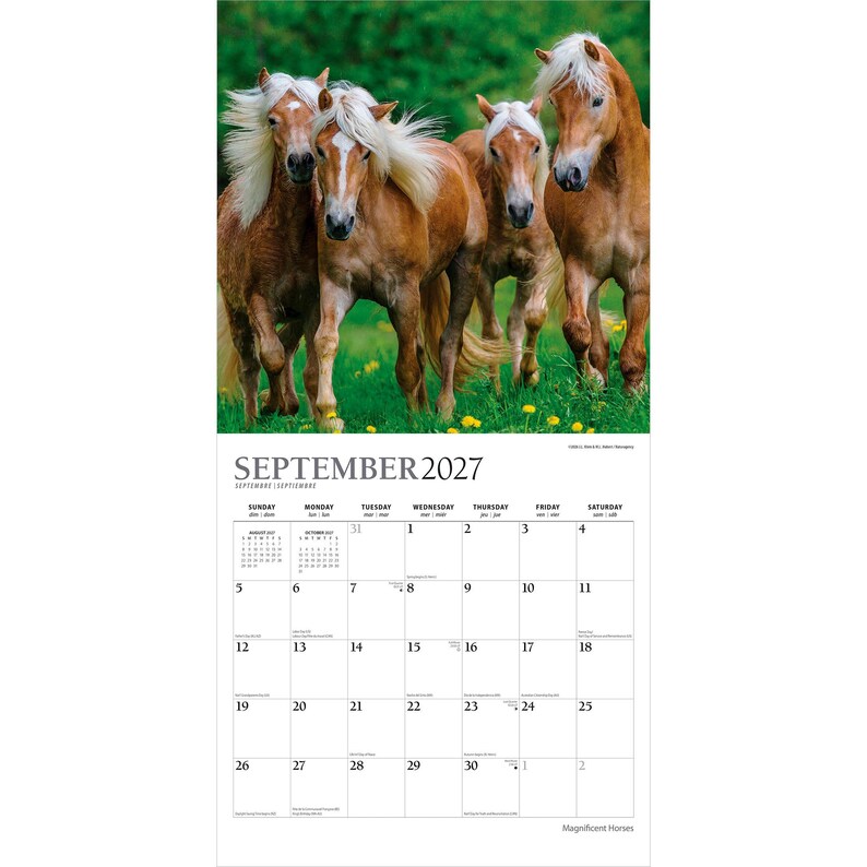 K&ouml;nnte beinhalten: Ein Wandkalender f&uuml;r September 2027 mit einem Foto von vier hellbraunen Pferden mit wei&szlig;en M&auml;hnen, die durch eine gr&uuml;ne Wiese mit gelben Blumen laufen. Das Kalenderraster zeigt den Monat, das Jahr und die Wochentage deutlich an.