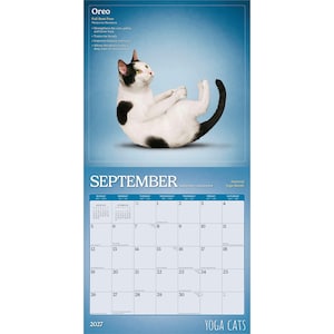 May include: A 2027 calendar with a black and white cat in a yoga pose. The calendar is titled "Yoga Cats" and shows the month of September. The cat is named "Oreo" and the pose is called "Full Boat Pose".