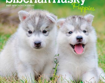 Siberian Husky Puppies | 2027 7 x 14 Inch (Hanging) Monthly Mini Wall Calendar | BrownTrout | Animal Dog Breeds Huskies
