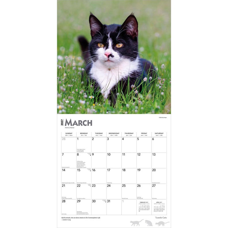 May include: A 2027 wall calendar for the month of March featuring a photograph of a black and white tuxedo cat sitting in green grass. The calendar grid displays the days of the month with Sunday through Saturday headers and small date boxes.