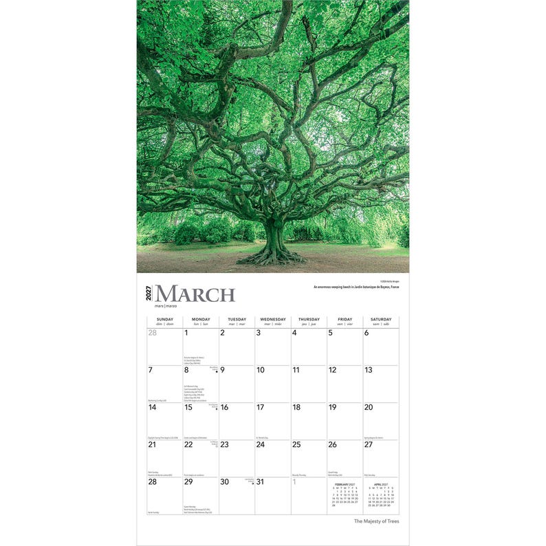 May include: A 2027 wall calendar page for March featuring a large, sprawling green tree with intricate branches. The calendar grid displays dates from the 1st to the 31st, with small February and April 2027 calendars at the bottom right corner.