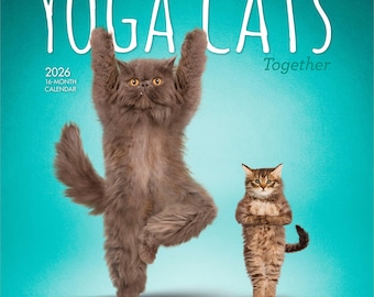 Yoga Cats Together OFFICIAL | 2026 12 x 24 Inch (Hanging) Monthly Square Wall Calendar | Plato | Animals Humor Pets