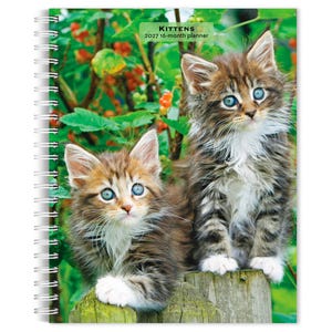 May include: A spiral-bound 2027 16-month planner featuring a cover image of two fluffy brown tabby kittens with blue eyes sitting on a wooden post amidst green foliage and red berries. The text KITTENS 2027 16-month planner is printed at the top.