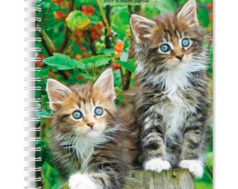 Kittens | 2027 6 x 7.75 Inch Spiral-Bound Wire-O Weekly Engagement Planner Calendar | New Full-Color Image Every Week | BrownTrout | Pets