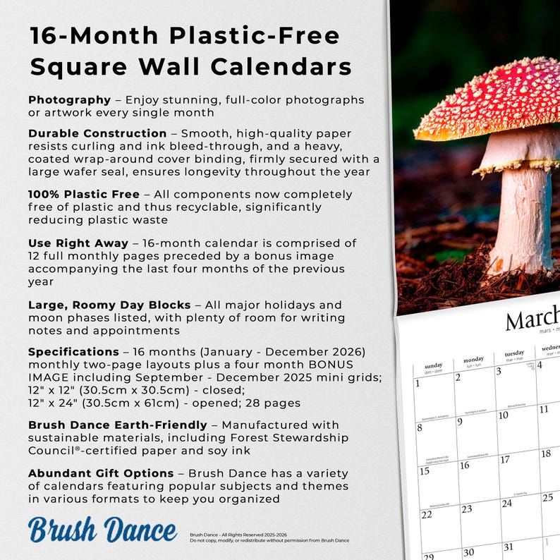 May include: A 16-month plastic-free square wall calendar featuring a mushroom image. The calendar has large day blocks and is 30.5cm x 30.5cm (closed) and 30.5cm x 61cm (opened). It is made with sustainable materials.
