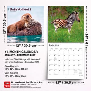 Pode incluir: Um calend&aacute;rio de parede de 16 meses Baby Animals 2027 medindo 30,5 cm por 30,5 cm fechado e 30,5 cm por 61 cm aberto. A capa mostra duas lontras marinhas, enquanto o interior apresenta uma zebra na relva e o m&ecirc;s de mar&ccedil;o de 2027.