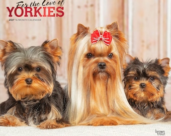 For the Love of Yorkshire Terriers 2027 14 x 24 Inch (Hanging) Monthly Deluxe Wall Calendar | Foil Stamped Cover | Plastic-Free | BrownTrout