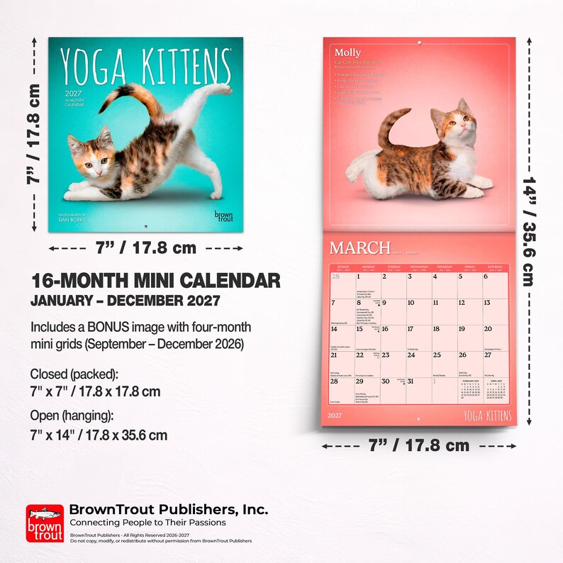 May include: A 16-month mini calendar for 2027 titled Yoga Kittens, featuring a calico kitten in a yoga pose on the cover and a March calendar page with a kitten photo. Closed dimensions are 17.8 cm by 17.8 cm, open dimensions are 17.8 cm by 35.6 cm.