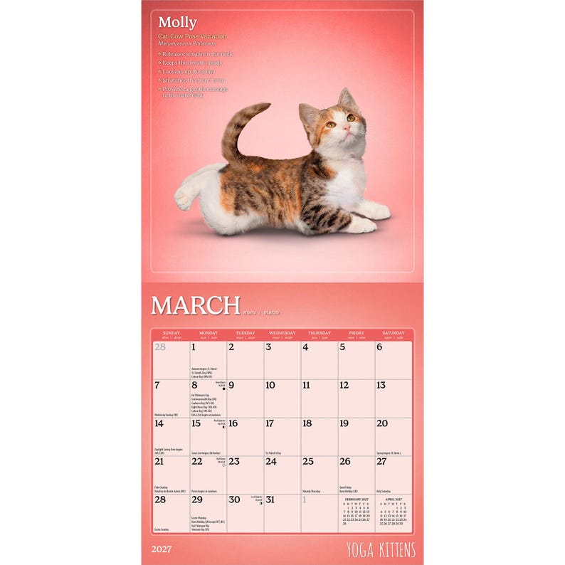 May include: A 2027 wall calendar featuring a calico kitten in a yoga pose on the top page and a March calendar grid on the bottom page. The background is a solid coral pink. The text includes Molly, March, and Yoga Kittens at the bottom.