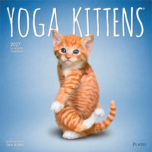 Puede incluir: Un calendario de pared de 16 meses para 2027 titulado YOGA KITTENS con una fotograf&iacute;a de un gatito atigrado naranja con patas blancas en una pose de yoga sobre un fondo azul. El texto incluye 2027 16-MONTH CALENDAR, PHOTOGRAPHY BY DAN BORRIS y PLATO.