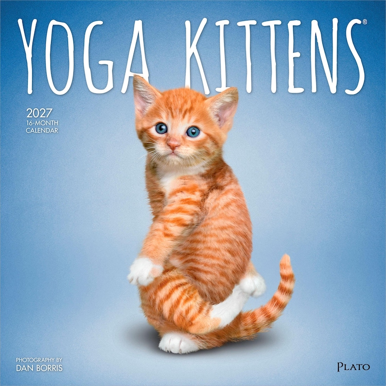 Puede incluir: Un calendario de pared de 16 meses para 2027 titulado YOGA KITTENS con una fotograf&iacute;a de un gatito atigrado naranja con patas blancas en una pose de yoga sobre un fondo azul. El texto incluye 2027 16-MONTH CALENDAR, PHOTOGRAPHY BY DAN BORRIS y PLATO.