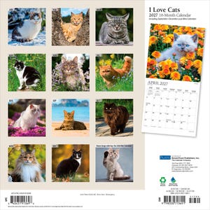 May include: A 2027 16-month wall calendar titled I Love Cats, featuring twelve monthly grid images of various cat breeds in outdoor settings, plus a bonus image and a full-page April 2027 calendar view with a kitten sitting in orange flowers.