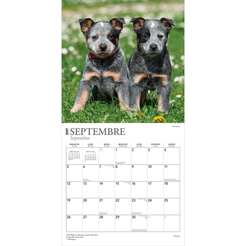 May include: A 2027 wall calendar page for September featuring a photograph of two blue heeler puppies with mottled grey, black, and tan fur standing in green grass. The calendar grid displays the days of the month with the text Septembre and September.