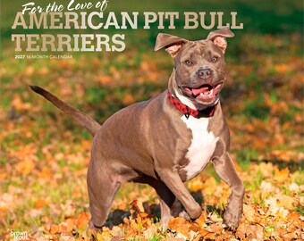 For the Love of American Pit Bull Terriers 2027 14 x 24 Inch (Hanging) Deluxe Wall Calendar | Foil Stamped Cover | Plastic-Free | BrownTrout