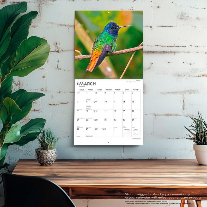K&ouml;nnte beinhalten: Ein Wandkalender mit einem Foto eines bunten Kolibris auf einem Ast. Der Vogel hat blaues, gr&uuml;nes und orangefarbenes Gefieder. Der Kalender zeigt den Monat M&auml;rz mit einem Raster von Daten. Der Kalender h&auml;ngt an einer wei&szlig;en Backsteinmauer.