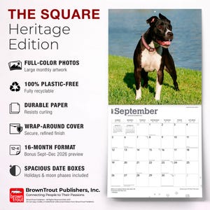 May include: A 2027 wall calendar titled THE SQUARE Heritage Edition featuring a black and white American Pit Bull Terrier on the September page. The calendar includes full-color photos, durable paper, a wrap-around cover, and a 16-month format.