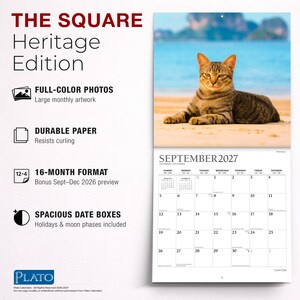 May include: A 16-month wall calendar titled THE SQUARE Heritage Edition featuring a brown tabby cat on a beach for September 2027. The calendar includes full-colour photos, durable paper, and spacious date boxes with holidays and moon phases.
