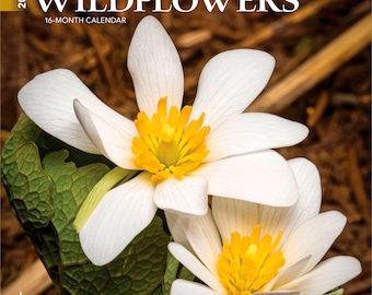 Wildflowers | 2027 7 x 14 Inch (Hanging) Monthly Mini Wall Calendar | BrownTrout | Flower Outdoor Plant
