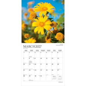 K&ouml;nnte beinhalten: Ein Wandkalender f&uuml;r M&auml;rz 2027 mit einer Fotografie von leuchtend gelben mexikanischen Sonnenblumen vor einem klaren blauen Himmel. Das Raster zeigt die Tage des Monats mit Kopfzeilen von Sonntag bis Samstag sowie kleine Kalender f&uuml;r Februar und April.