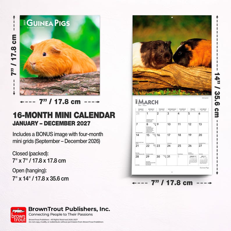 May include: A 2027 16-month mini calendar featuring guinea pigs. The closed calendar measures 17.8 cm by 17.8 cm, and the open calendar measures 17.8 cm by 35.6 cm. It includes a bonus image with four-month mini grids for September to December 2026.
