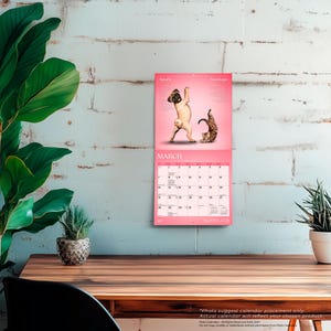 May include: A wall calendar for the month of March with a pink background. The top section features a photograph of a pug and a tabby cat. The bottom section displays a grid of dates for March, with the text MARCH printed in white at the top.