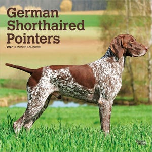 May include: A 2027 16-month calendar titled German Shorthaired Pointers featuring a brown and white liver-spotted dog standing in a green field. The text on the cover includes the title and the year, with the brown trout logo in the corner.