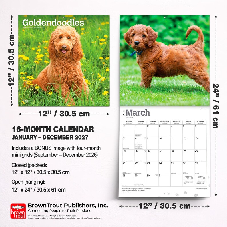 K&ouml;nnte beinhalten: Ein 16-monatiger Goldendoodles-Kalender f&uuml;r 2027 mit Fotos von goldenen Hunden im Gras. Er misst geschlossen 30,5 cm x 30,5 cm und ge&ouml;ffnet 30,5 cm x 61 cm, inklusive eines M&auml;rz 2027-Kalenderblatts und eines Bonus-Mini-Kalenders f&uuml;r vier Monate.