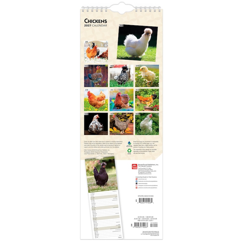 Op de afbeelding: Een wandkalender voor 2027 getiteld Chickens met twaalf verschillende kleurenfoto's van diverse kippenrassen. De kalender bevat een raster voor elke maand, een ophanggat aan de bovenkant en gedrukte uitgeversinformatie met een streepjescode.