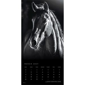 May include: A black and white wall calendar page for March 2027 featuring a high-contrast portrait of a horse. The upper section displays the horse's head and mane, while the lower section contains a grid of dates with the month and year printed.
