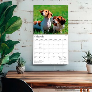 Pu&ograve; includere: Un calendario da parete per marzo 2027 con una fotografia di due bassotti marroni e bianchi in piedi sull'erba verde. La griglia del calendario mostra i giorni del mese con il testo March 2027 in alto e piccole icone di impronte in basso.