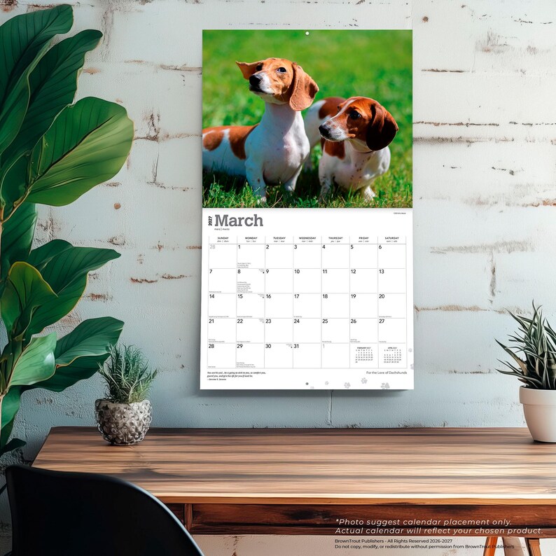 Pu&ograve; includere: Un calendario da parete per marzo 2027 con una fotografia di due bassotti marroni e bianchi in piedi sull'erba verde. La griglia del calendario mostra i giorni del mese con il testo March 2027 in alto e piccole icone di impronte in basso.