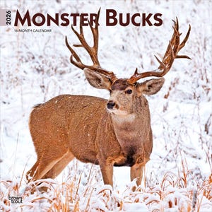 May include: A 2026 "Monster Bucks" 16-month calendar featuring a majestic deer with large antlers standing in a snowy field. The deer has brown fur and is surrounded by snow-covered grass. The calendar's title is in bold, dark brown letters.