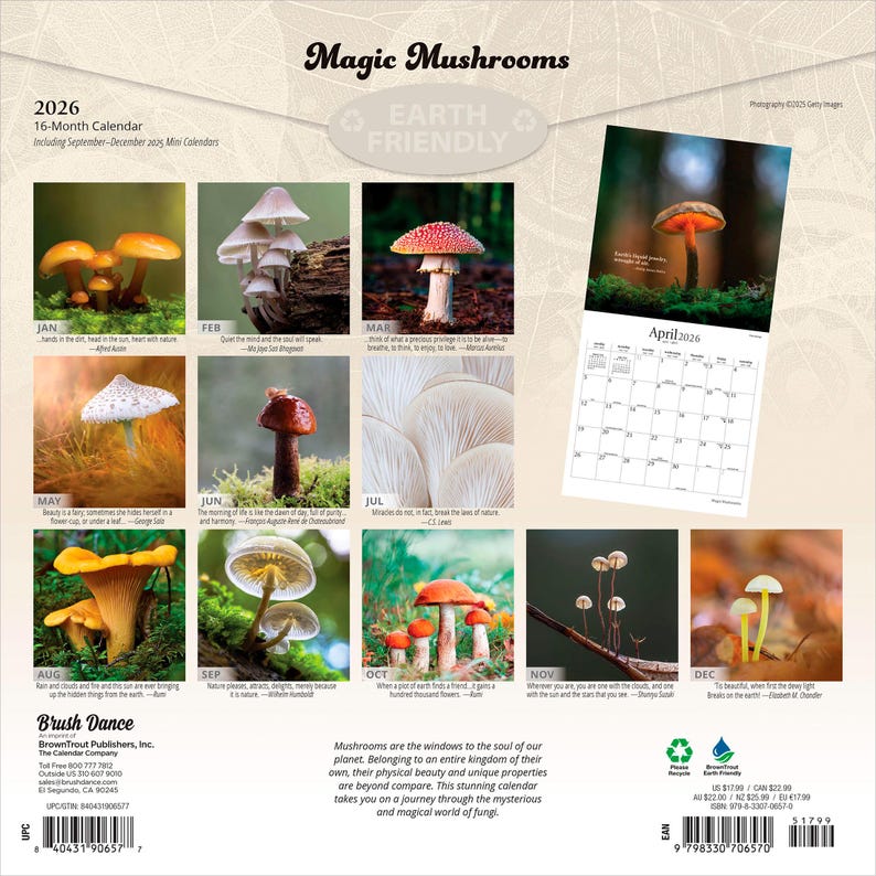 May include: A 2026 16-month calendar with mushroom photographs. The calendar includes September 2025 to December 2026. The calendar is titled "Magic Mushrooms" and is "Earth Friendly". Published by Brush Dance, it features a variety of fungi.