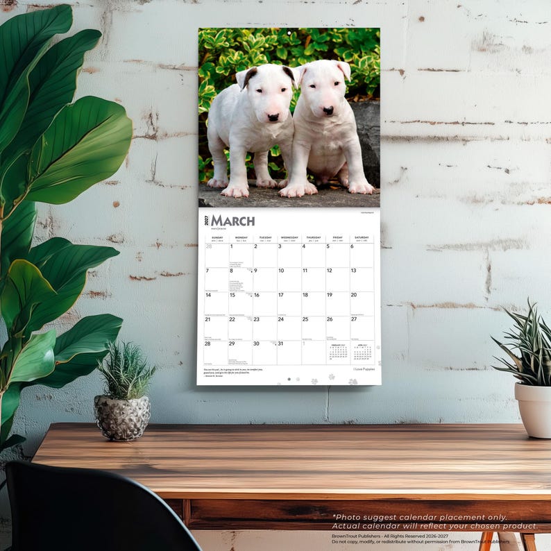 May include: A wall calendar for March 2027 featuring a photograph of two white Bull Terrier puppies standing on a stone surface. The calendar grid displays the days of the month with black text on a white background, including small monthly calendars.