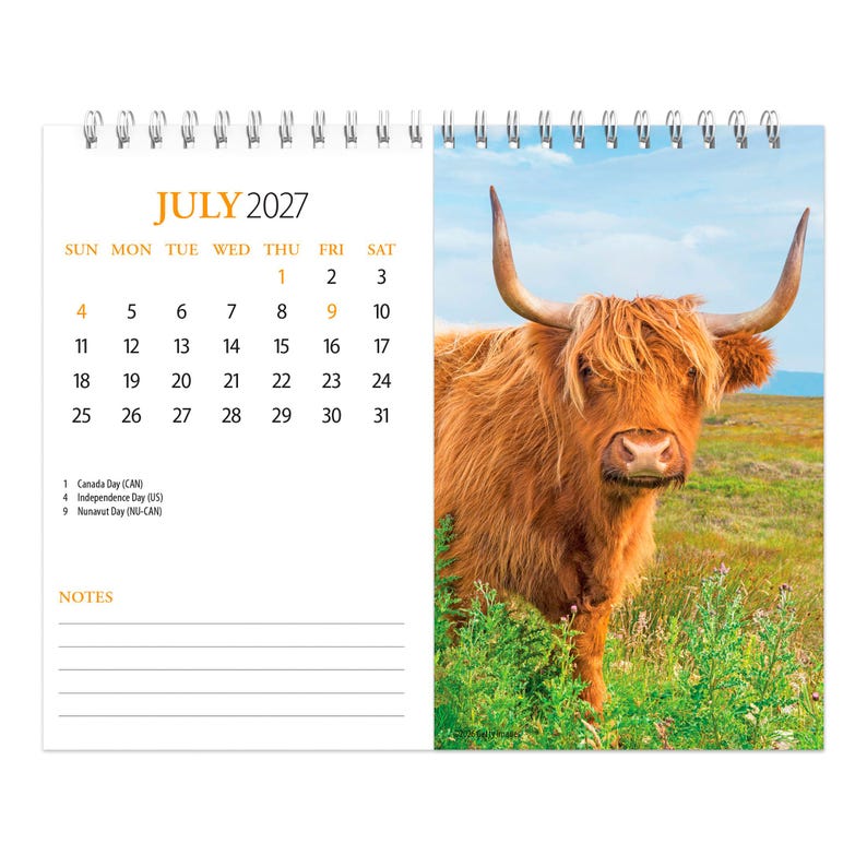 May include: A spiral-bound wall calendar page for July 2027 featuring a photograph of a shaggy, ginger-colored Highland cow with long, curved horns standing in a green field under a blue sky. The left side displays the calendar grid and notes.
