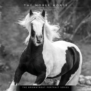May include: A 2027 16-month calendar titled The Noble Horse from the Browntrout Portrait Series. The cover features a black and white photograph of a pinto horse with a flowing mane, captured in motion against a blurred natural background.